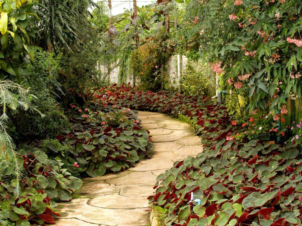 DIY Pathway_one of inexpensive garden ideas