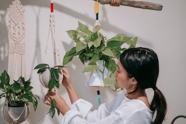 Macrame Hanging Plants for Indoor Space